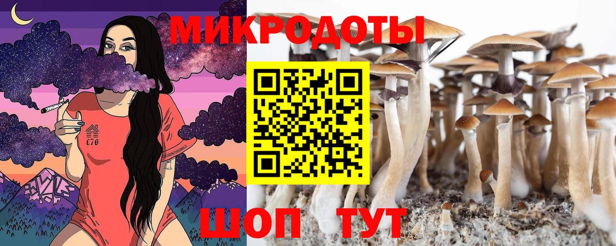 Галлюциногенные грибы MAGIC MUSHROOMS Шебекино