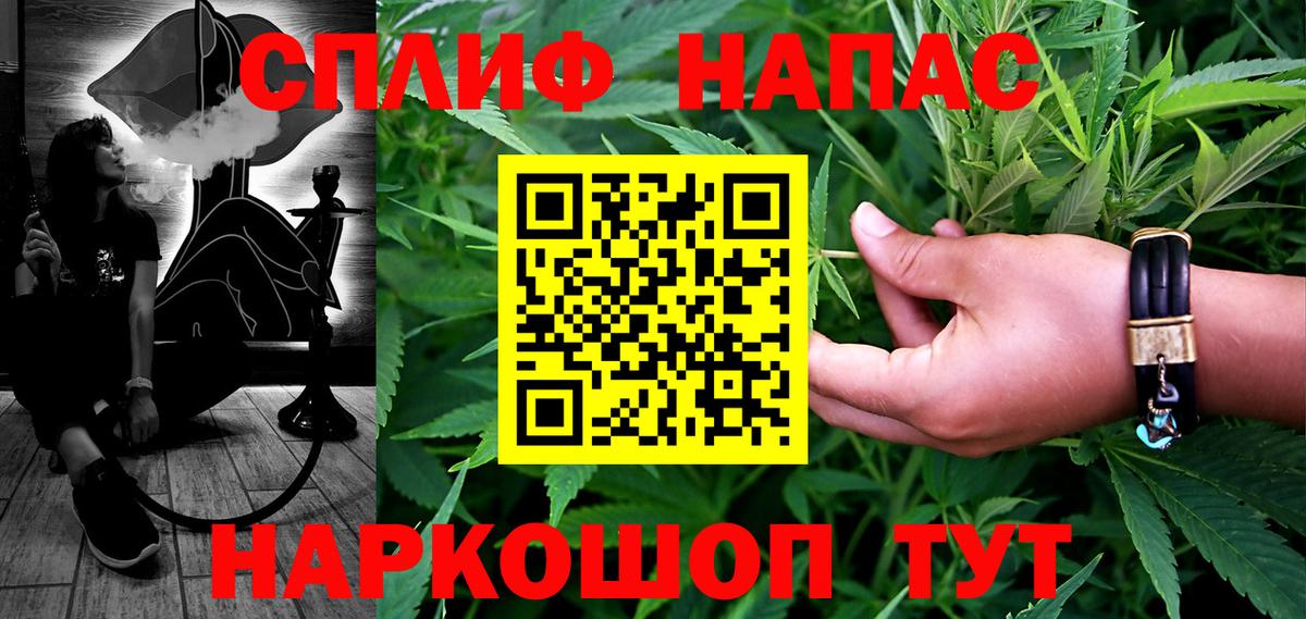 Шишки марихуана марихуана Шебекино